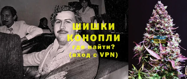 прущие крисы Новозыбков