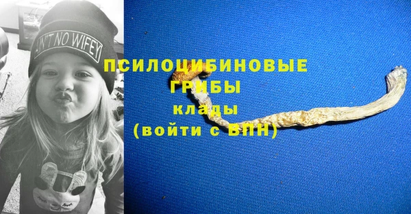 винт Алзамай